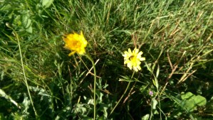 Practicing new practices let's me try things until I find what works for me.