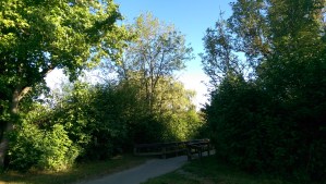 It's a journey without a map, some of it paved, all of it built on choices.