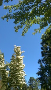 It was a lovely day for a journey.