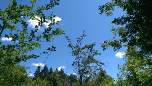 Blue sky, perspective, and the freedom to choose. 