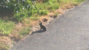 Trusting the process, and relying on incremental change over time requires some vulnerability.