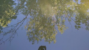 So much of my experience is a reflection of my physical state of being, health, and wellness.