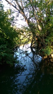 What I choose to observe, and how I understand it changes my experience.