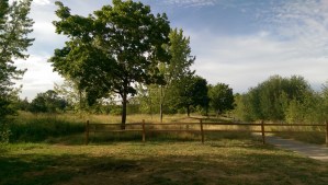 The path branches, forks, detours, and the way is not always clear - but the journey is what it is, I am my own cartographer, and enough is enough.