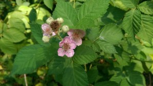 Enjoying other moments.