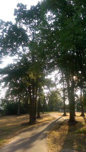 Walking my own path, finding my own way, seeking illumination.