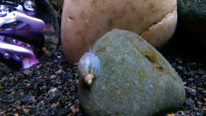 Taking the obstacles one at a time, and taking the journey slowly; there's a lot to learn along the way.