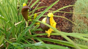 Today is a good day to remember that resources are limited, and to plan accordingly.