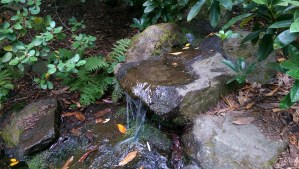 There are little waterfalls here and there all through the park.