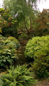 And there is no shortage of picturesque views.