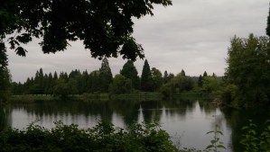 It is a lovely place to spend an hour on a Wednesday morning.