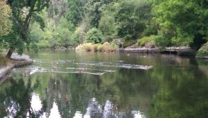 They invite their friends.