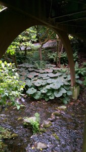 ...from one point of view or another.