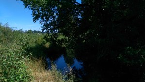 Finding a suitable place to pause and reflect is worthwhile. In the stillness I more easily hear myself, and understand what I need.