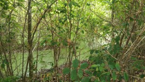 Sometimes it's less about the individual details than it is about the feel of things, generally. 