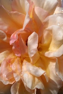 Look deeper. What matters most?