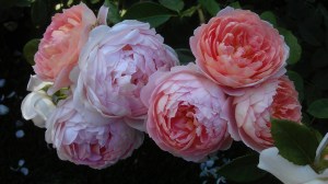 Timeless questions; their greatest value is in the asking.