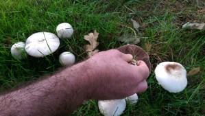 Fond memories are worth the investment in time.