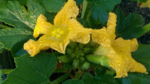 Moving on to living life.