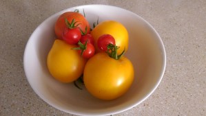 Our harvest has much to do with what we planted, and how we tended our garden.