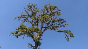 It's my own perspective, and like so many things it may look different from some other point of view.