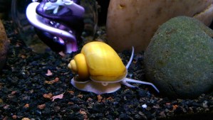 I am taking the morning slowly.