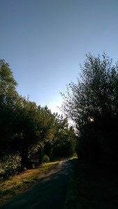 Where will my path take me?