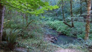 This is my journey. Your results may vary.