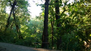 Sometimes it seems necessary to find just the right place for sitting still...this too, is a distraction.