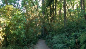 As with so many journeys, it isn't always clear where the path leads.