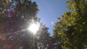 A helpful change in perspective, and time spent listening deeply to my own heart, is a good place to find inspiration - and stillness.