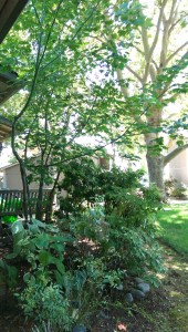 The journey doesn't always take me far from home.