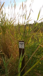 "Natural area" - unkempt beauty has a place...that place is not the kitchen, bath or living room. :-)