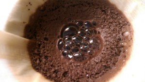 A 'coffee flower' - each as unique as any other flower. I enjoy their brief existence, blossoming as I make my coffee, gone in an instant.