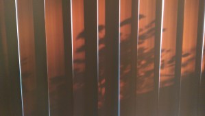 Sitting in stillness, listening deeply to my own heart, watching evening become night...