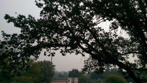 The sky filled with the haze of distant wildfires.