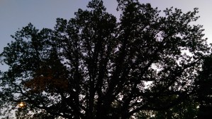 Finding the lasting value in perspective and good practices.