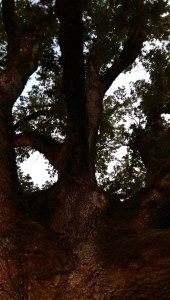 Perspective is a really big deal - we see what we are looking at. Limiting our vision, limits our options.