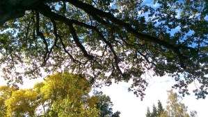 ...and perhaps a change of perspective. 