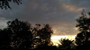 A chilly autumn morning, an opportunity to reflect on what is needed, and what is not, and sort things  out.