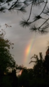 Every moment of growth is as a rainbow in a stormy sky; a promise of better things.