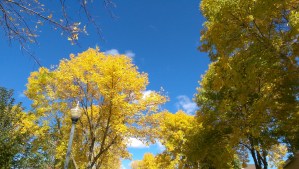 A change of season, a change in routine, a change in perspective.