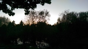 A different evening, a different place, some other moment.