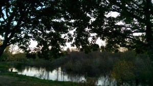 Perspective matters. What I see is colored by my experience.