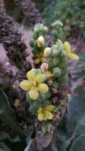 Life's challenges aren't personal. Today, I'll take another breath - and begin again.