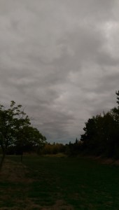 Stormy skies have their own beauty.