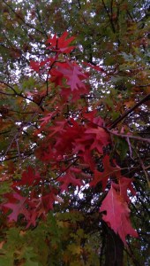 Changing my perspective often has the power to... change my perspective.