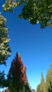 A beautiful blue change of perspective.