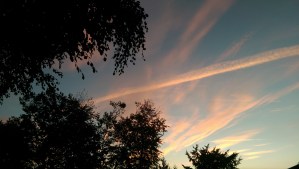 tomorrow I can begin again