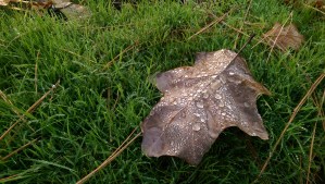 A lovely day built on ordinary moments.